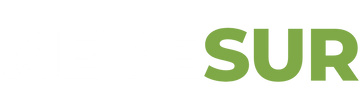 Revesur